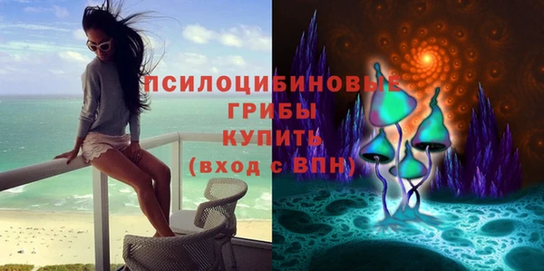СК Алексеевка