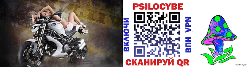Псилоцибиновые грибы мицелий закладка Заозёрный