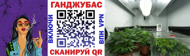 где найти   Заозёрный  Конопля тримм 